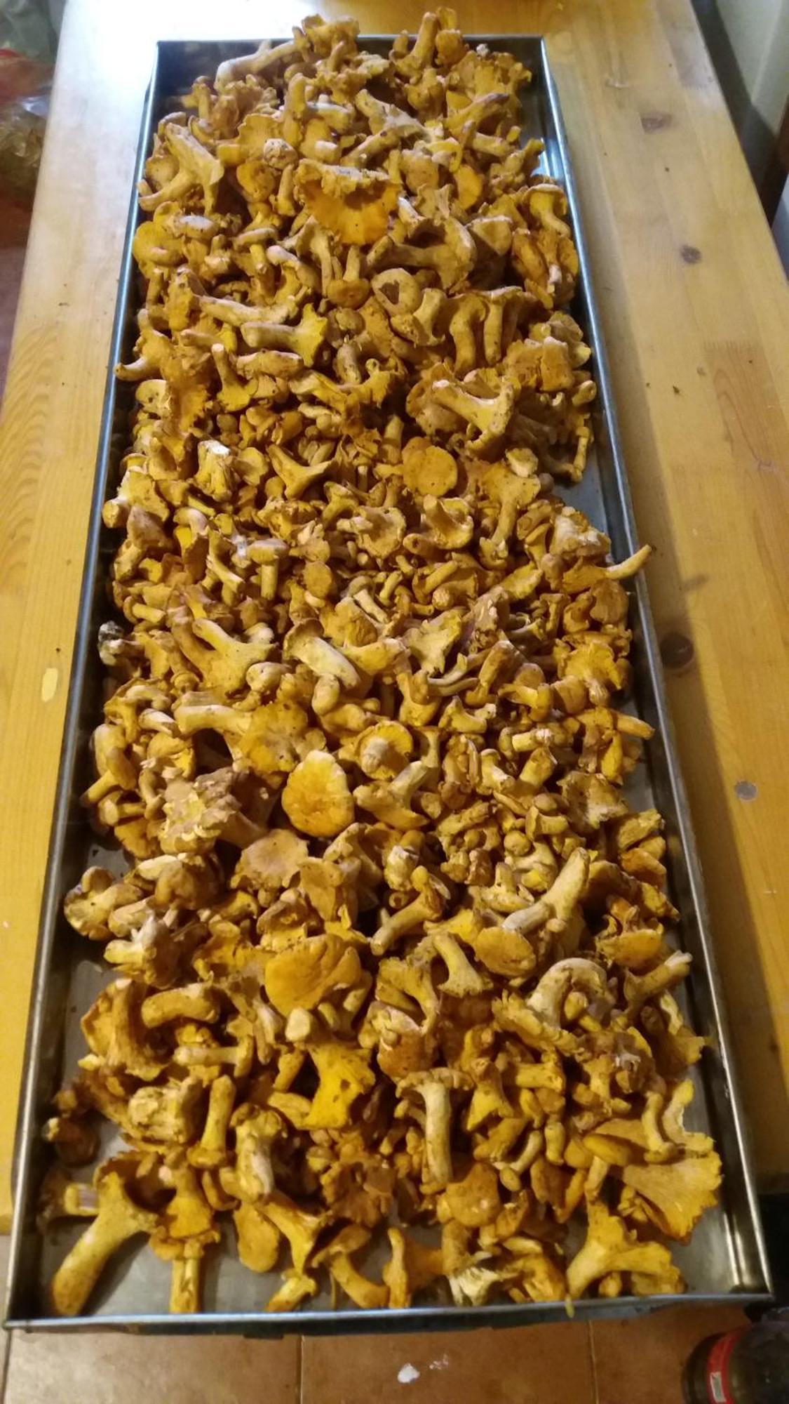 Etno Selo Lelic Acomodação com café da manhã Valjevo Exterior foto